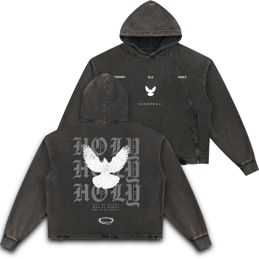 HOLY Vintage Washed Hoodie